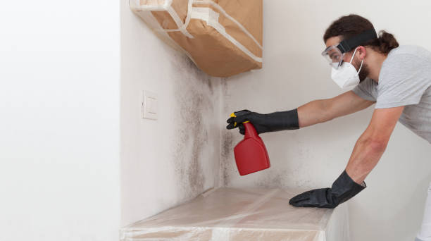 Professional Crawl Space Mold Removal technician working in Mears, VA