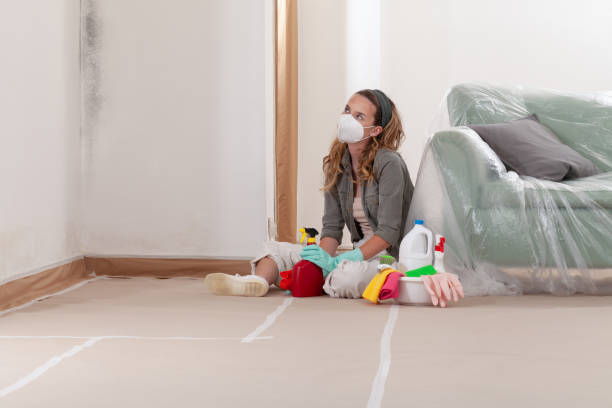 Reliable Crawl Space Mold Removal contractor in Mears, VA by WQB Mold Removal