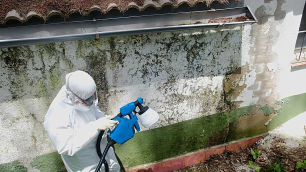 Top rated local Crawl Space Mold Removal specialists in Mears, VA